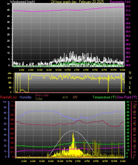 24 Hour Graph for Day 20